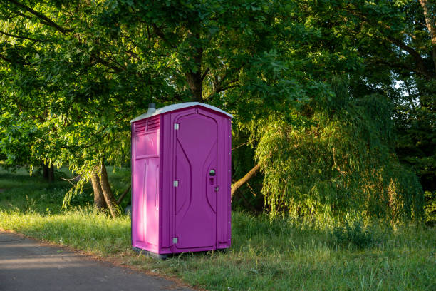 Best Porta potty delivery and setup  in Lakeview, WA